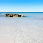 Bouganville الايور