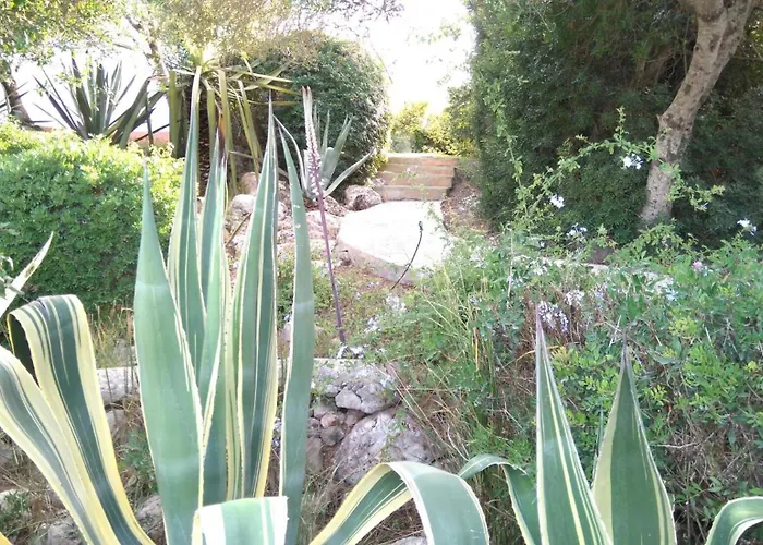 Hébergement de vacances Son Bou