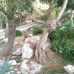 Bouganville Alaior