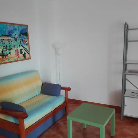 Bouganville אלאיור