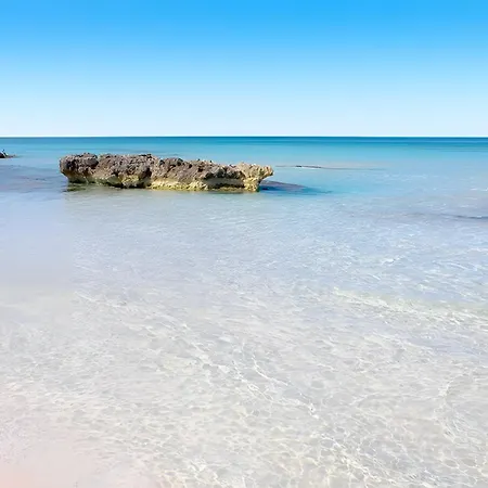 Bouganville אלאיור