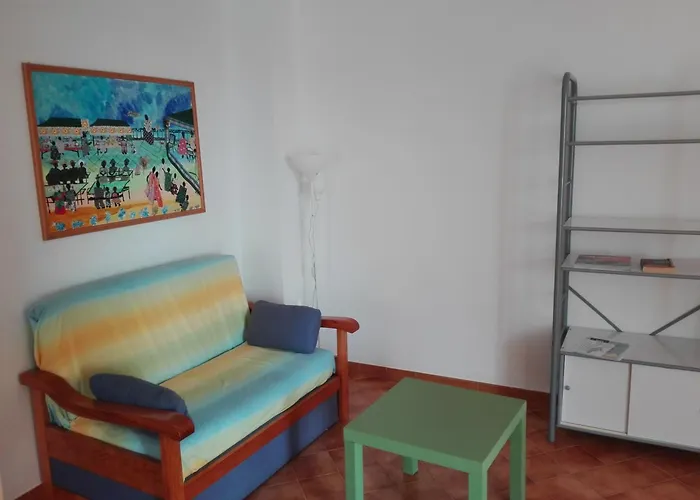 Bouganville אלאיור