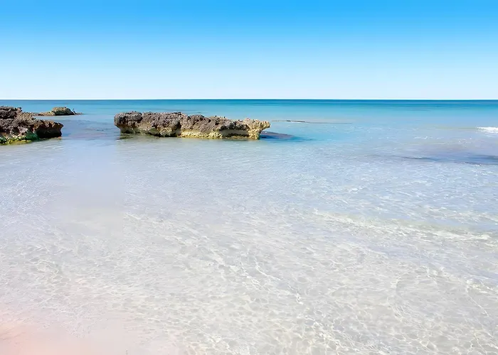 Bouganville אלאיור