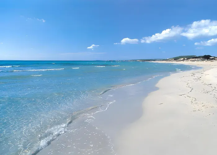 Bouganville * אלאיור